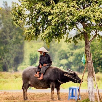 Vietnam Stories